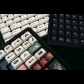 GMK Wild 104+87 Full PBT Dye-subbed Keycaps Set for Cherry MX Mechanical Gaming Keyboard